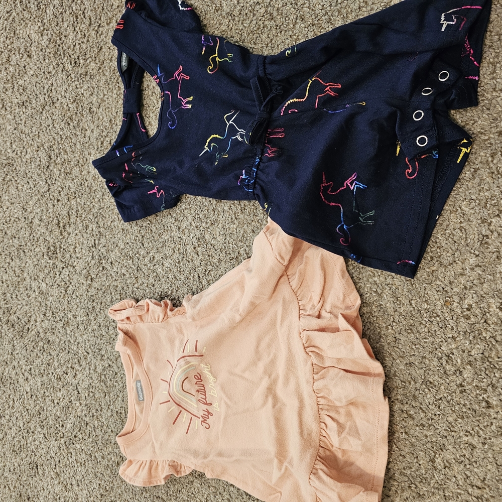 Colorful Dinosaur Romper and Peach Ruffle Top Set